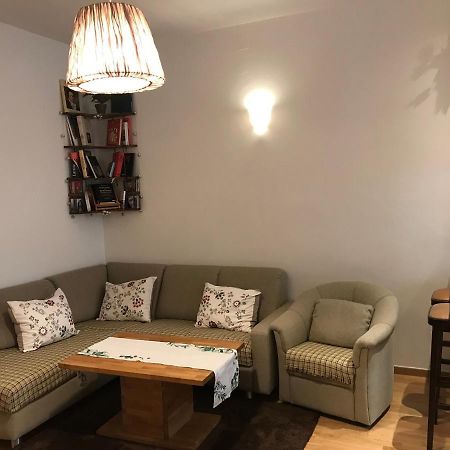 Nice Apartment Near Schoenbrunn And Downtown Viyana Dış mekan fotoğraf
