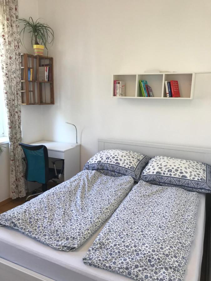 Nice Apartment Near Schoenbrunn And Downtown Viyana Dış mekan fotoğraf
