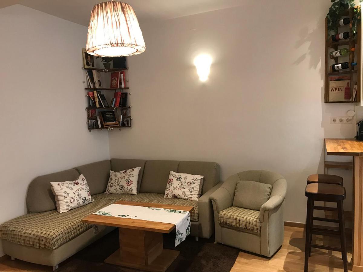Nice Apartment Near Schoenbrunn And Downtown Viyana Dış mekan fotoğraf